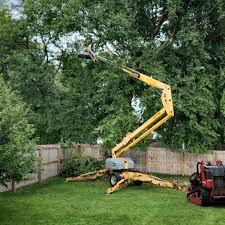 Lawn Edging in Northville, NY